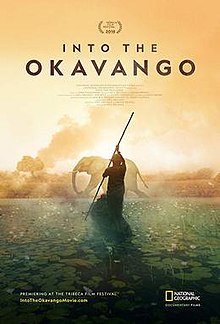 Into the Okavango